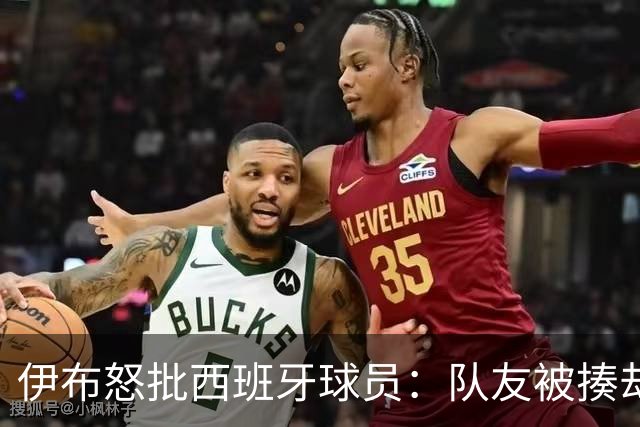 伊布怒批西班牙球员：队友被揍却袖手旁观 这是不职业的行为