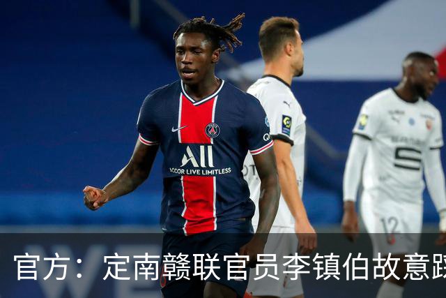 官方：定南赣联官员李镇伯故意踩踏裁判，被禁赛7个月+罚款11万